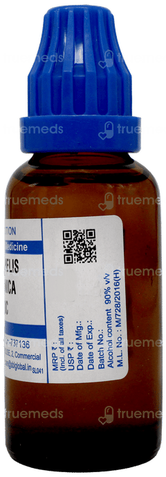 Sbl Hamamelis Virginica 200C Dilution 30Ml Sbl Hamamelis Virginica 200C Dilution 30Ml